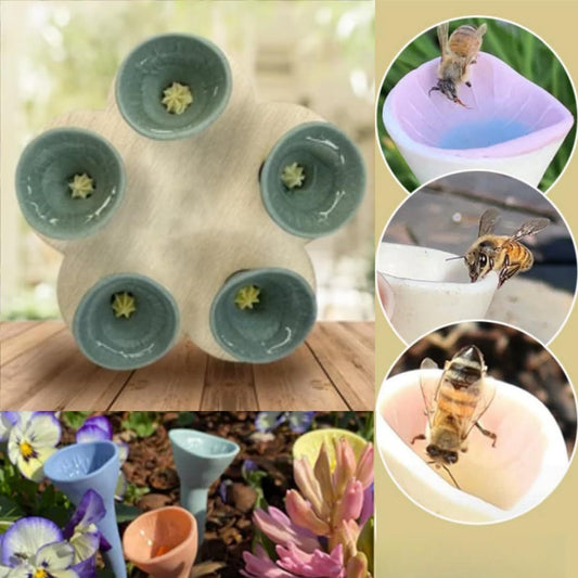 Fashion Bee Feeder Water Dispenser